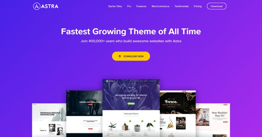 Best WordPress Themes for Elementor