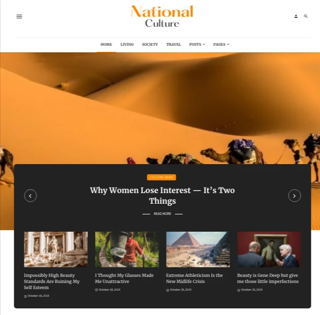 Best Adsense Optimized WordPress Themes